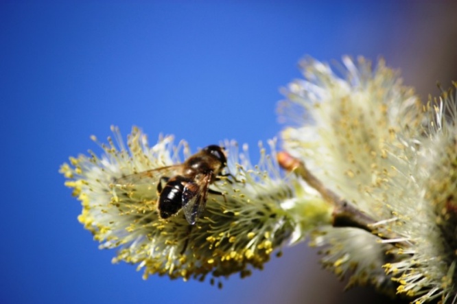 iStock_000060016164_Small