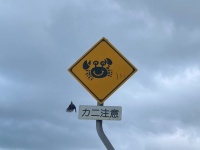 沖縄で発見された「カニ注意」標識に反響　設置機関に理由を聞くと→「よくカニさんが轢かれてしまうので...」