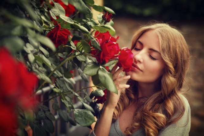 iStock_000020448503_Medium