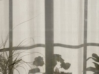 玄関でやってはいけない5つのこと【あなたの家は大丈夫？】