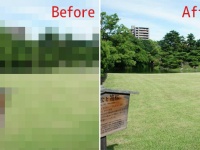 ゴミ拾いビフォア・アフターが世界的に流行っているけども、一方日本では？海外で話題となっていた