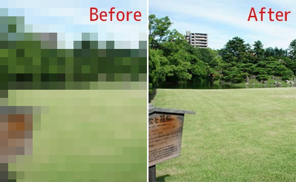 ゴミ拾いビフォア・アフターが世界的に流行っているけども、一方日本では？海外で話題となっていた