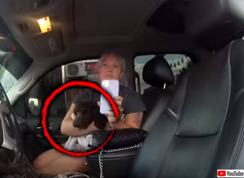 重傷を負った愛犬を急いで病院に連れて行こうとした一家、警察に銃を突き付けられ犬は手遅れに