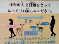 2メートルなのか...（画像は広島市安佐動物公園提供）