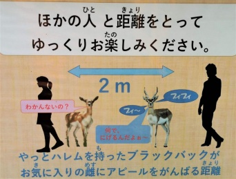 2メートルなのか...（画像は広島市安佐動物公園提供）