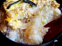 「ほかに客のいない食堂でカツ丼を注文。半分残して出ようとすると店のおばさんが『お兄ちゃん...』」（千葉県・70歳以上男性）