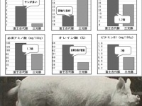 株式会社ローズクリエイトのプレスリリース画像
