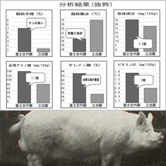 株式会社ローズクリエイトのプレスリリース画像
