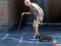 世界で最も遅いけど、最も心温まる犬の散歩風景。おじいさんを見守るように歩く