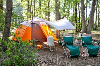 画像はイメージです