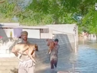 パキスタンの大洪水にて。取り残された動物たちを、危険を顧みず助けるヒーローたちの姿があった
