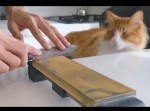 一刀両断！　砥石の力でパワーアップした“１００均包丁のキレ味”を見よ！