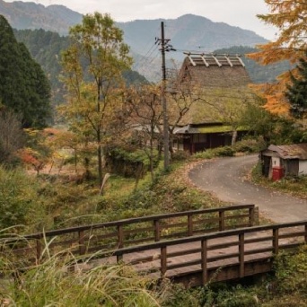 写真はイメージです