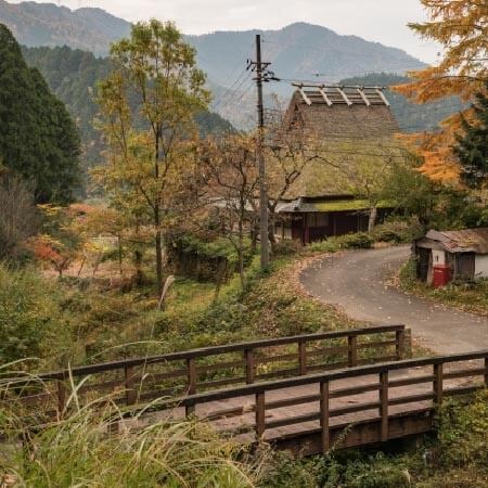 写真はイメージです