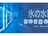 画像は「氷の水族館」のサイトより