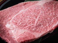お好みで霜降りも。脂肪量を調節できる新たな培養肉（カナダ研究）