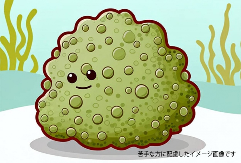 宇宙からやって来た卵かな？ゼリー過ぎるオオマリコケムシにアメリカ人が恐怖（本体が出てきます）