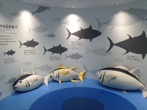 おさかなミュージアム館内（塩釜市水産課提供）