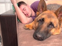 愛犬「ご主人頼むからそれもうストップ！」と、寝たふりイビキしているふりの飼い主さんに困惑する