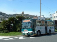 ボンバス（Kzaral~commonswikiさん撮影、Wikimedia Commmonsより）