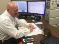 道路脇で救出された子猫、警察に届けられ署長が恋に落ちる。自らが飼い主となり署に勤務するように（アメリカ）