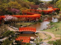 明るい朱色のすき間からのぞく、淡いピンクの牡丹桜...　青森にある「千本鳥居」が風流すぎる