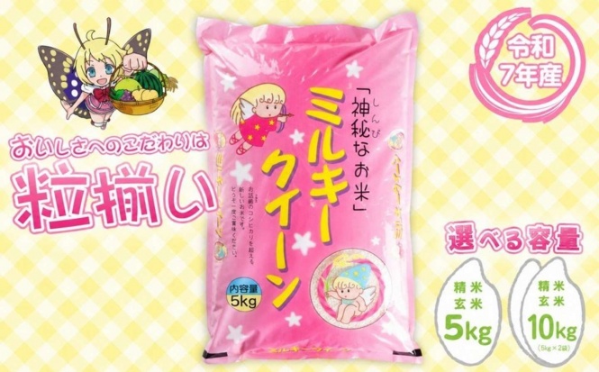 茨城県 下妻市「【最短7日発送】〔選べる容量・玄米/精米・発送月〕ミルキークイーン 5kg 10kg」7,500円（ふるさとチョイスより）