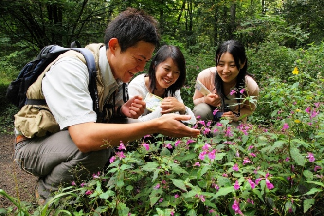 星野リゾートのプレスリリース画像