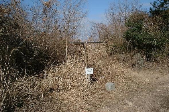 徳島・香川県境の「大山」山頂（Dokudamiさん撮影、Wikimedia Commonsより）