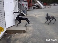 ロボット警察犬が誕生の予感。アメリカの警察が犬型ロボット「スポット」の採用を検討中（マサチューセッツ州）