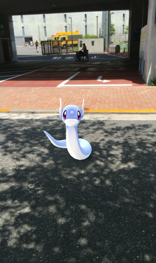 ミニリュウ