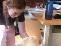 聴覚障碍のある女性が、同じ障碍を持つ愛犬と共に手話でコミュニケーション。犬は手話でお手ができるように（アメリカ）