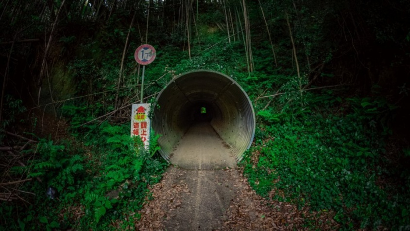 トンネル抜けて振り返ると...なんだこれ！？　異世界に飛ばされたみたいな「出口」話題