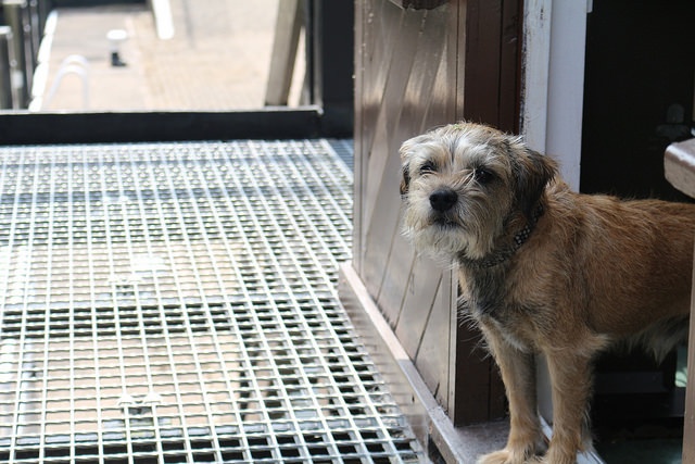 画像はイメージです（Bill Thompsonさん撮影、Flickrより）