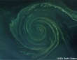 バルト海に巨大な緑色の渦巻きが出現、藻の大量発生でデッドゾーンが形成されていた