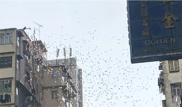 本当に空からお金が降ってきた！香港で空から大量のお札が舞い降りてきてパニックが起きるという事案が発生