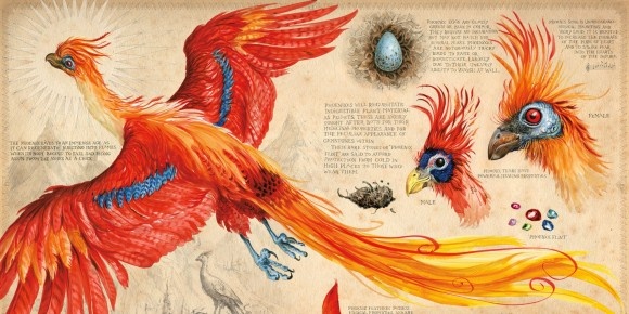 これは美しい！「ハリー・ポッターと秘密の部屋」を美しいイラストで表現した絵本