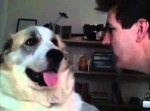 飼い犬にキスをしようとしたところ⇒　ラリアット食らう！？