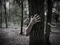 人の死体は死後1年以上経っても動くことが死体農場の研究で明らかに（オーストラリア研究）