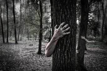 人の死体は死後1年以上経っても動くことが死体農場の研究で明らかに（オーストラリア研究）