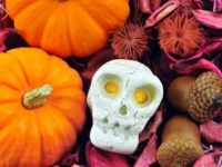 制服、露出もこの日ならOK!?　今年、女子がハロウィンでしたいと思う仮装4つ