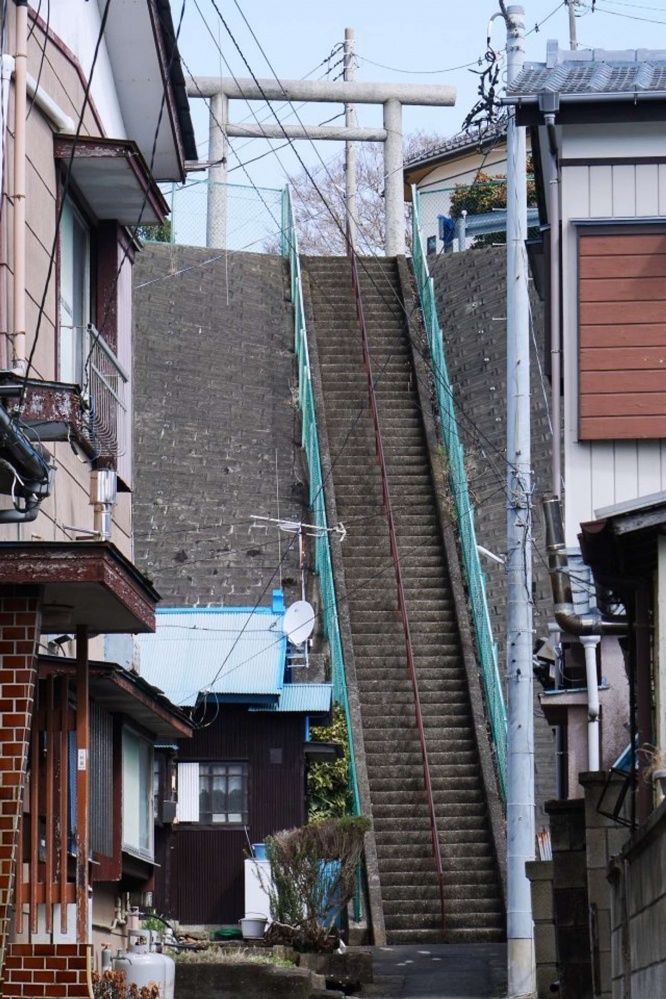 途方に暮れちゃう...(写真は路地師(@roji_shi)さん提供)