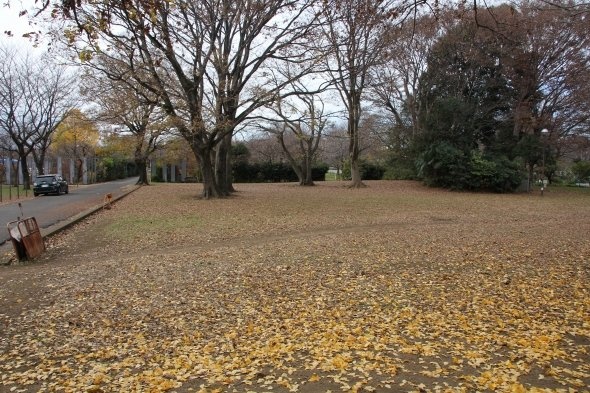 舗装もされていない国分寺跡地は落葉にまみれ、ところどころ車が停まっている