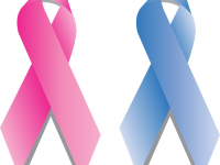 今からチェックを