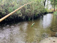 「いつき」さん（＠eki_itsuki）の投稿より、再掲