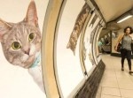 ロンドン地下鉄が、ネコたちによってジャック！　これはとんでもニャい…