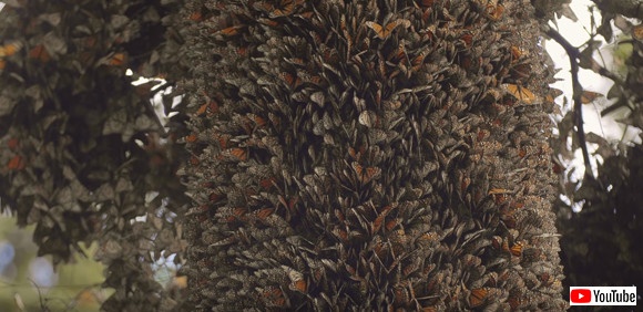 スクリーンショット-(1377)