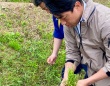 小泉進次郎農水大臣の公式Xより