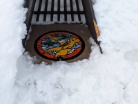 「愛にあふれすぎてて涙がでそう」「心が温まる」　福井の雪からカイリュー守る〝屋根〟に4万人感動