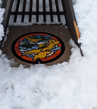 「愛にあふれすぎてて涙がでそう」「心が温まる」　福井の雪からカイリュー守る〝屋根〟に4万人感動